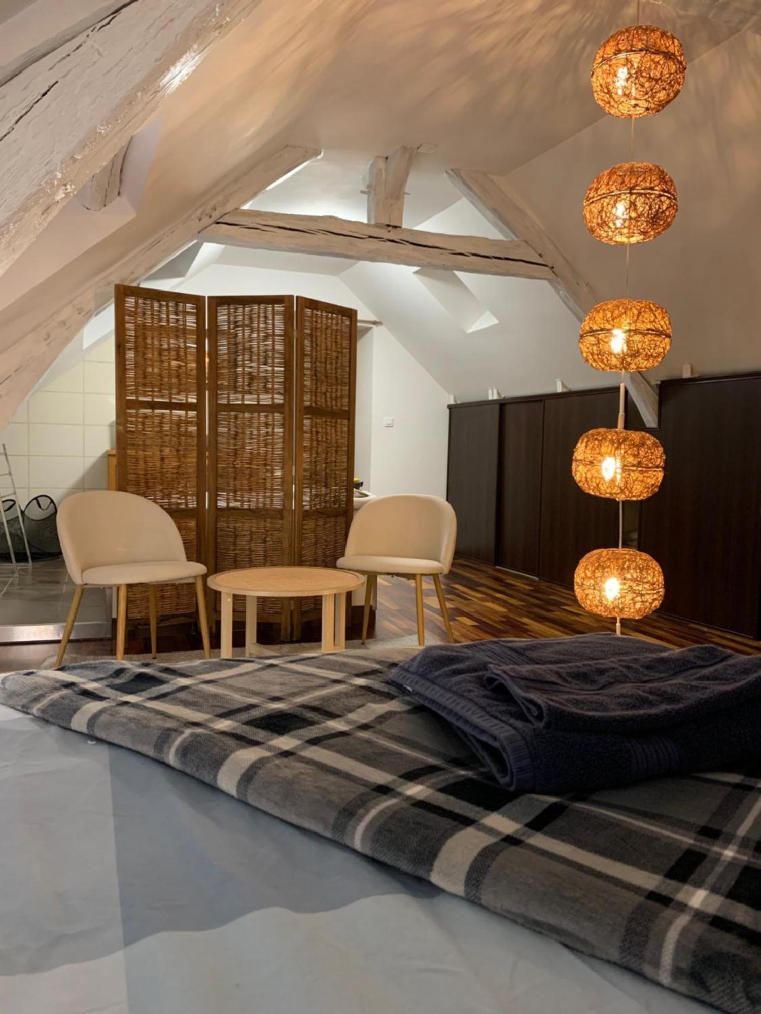 Maison Jeanne D'Arc Mennetou-sur-Cher Экстерьер фото